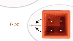 6 inch Square Plastic Planter