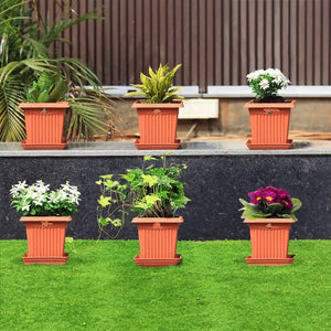 6 inch Square Plastic Planter