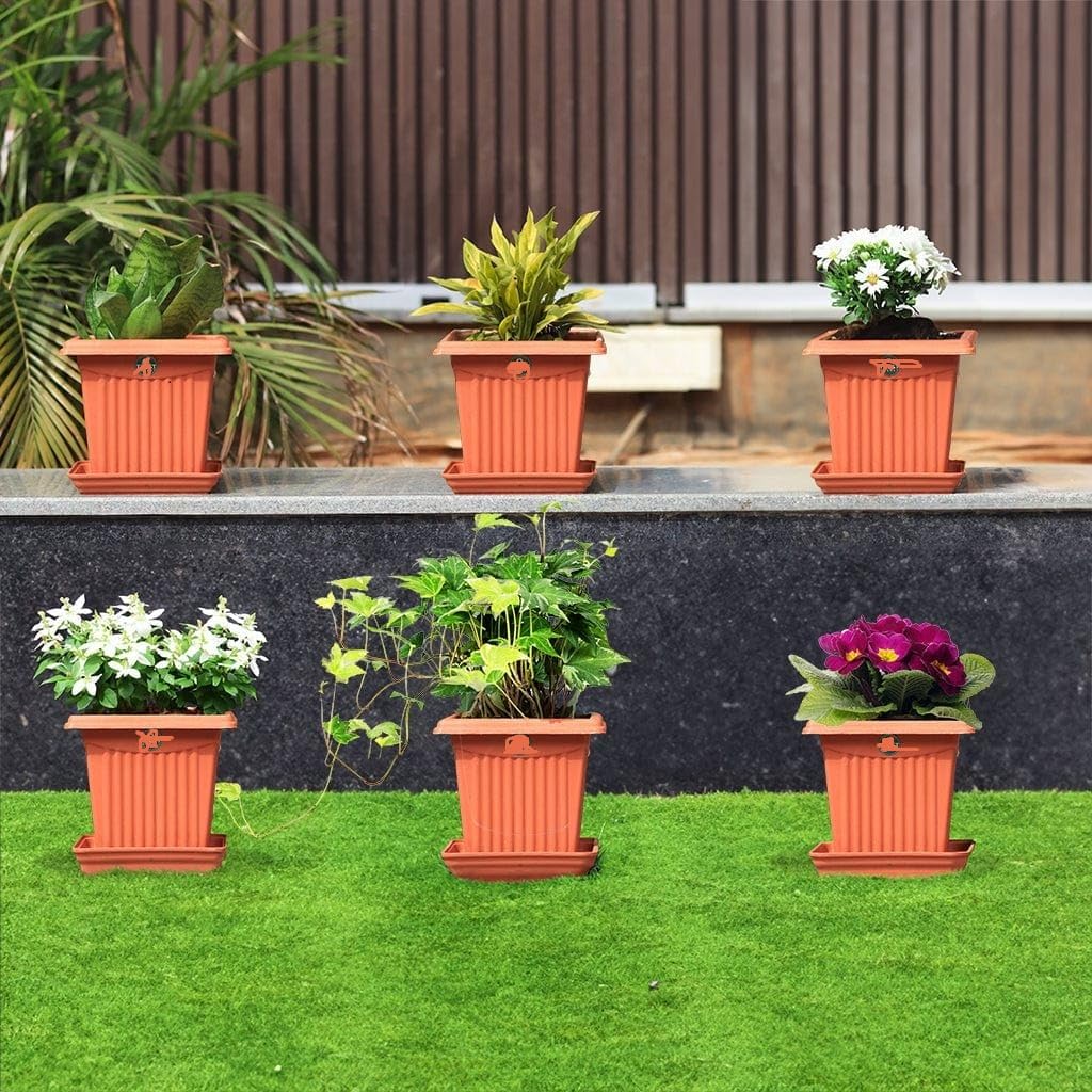 6 inch Square Plastic Planter